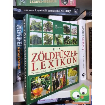 Andrea Rausch - Brigitte Lotz: Kis zöldfűszerlexikon