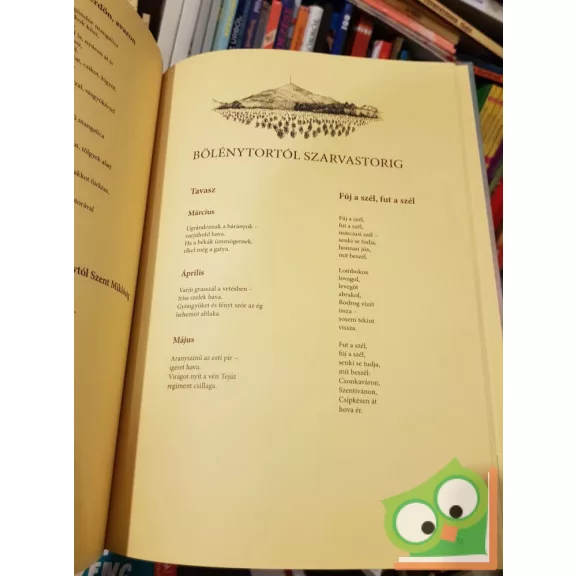 Kulcsár Ferenc: Kerek világ közepében