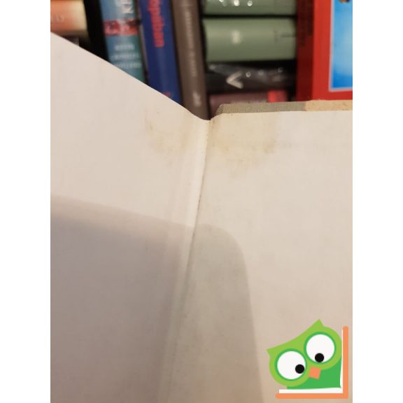 Lawrence L. Lager: Admitting the Holocaust - Collected Essays