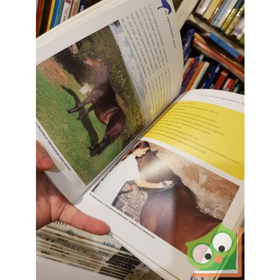 Amanda Lang: A ló -és pónigondozás kézikönyve - Mindent,amit a lóápolásról tudni kell