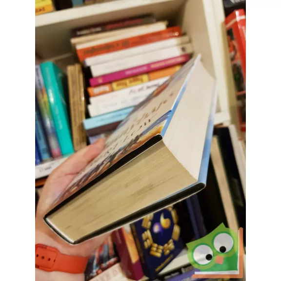 Robert Low: A Sárkányhajó (A Felesküdöttek saga 4.)