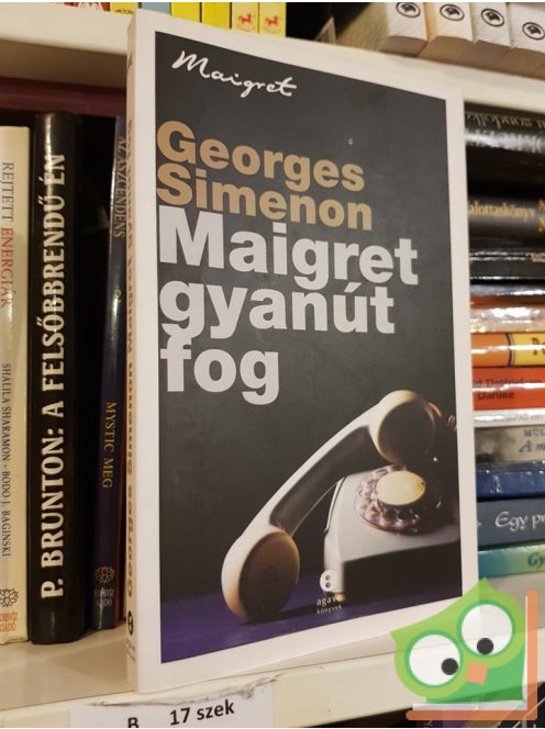 Georges Simenon: Maigret gyanút fog (Maigret) (Ritka)