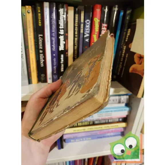 Mándy Iván: Csutak szinre lép