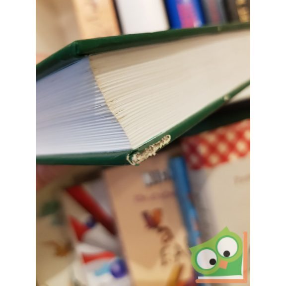 Karl May: A vérbosszú oroszlánja (Ritka)