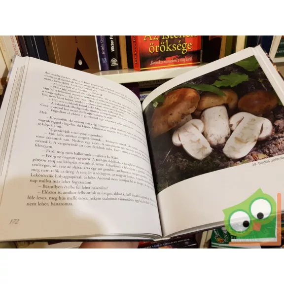 Mester Júlia: Ezeregy gombázás meséi