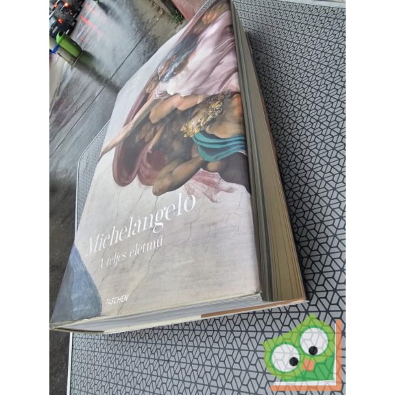 Frank Zöllner, Christof Thoenes, Thomas Pöpper: Michelangelo (A teljes életmű)