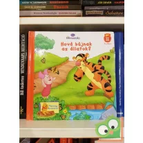 Micimackó - Hova bújnak az állatok? (ritka)