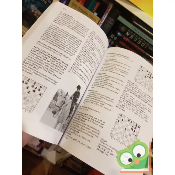 Mihók László: Dinamika a sakkban - Edzők és játékosok kézikönyve (Nagyon ritka)