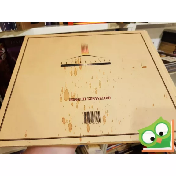 Milleniumi Magyarország  -Album korabeli fográfiákkal