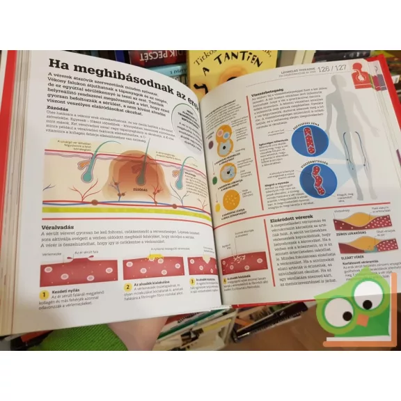 Mindent az emberi testről - Izgalmasan és látványosan