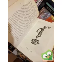 Darvai Móricz: Benvenuto Cellini