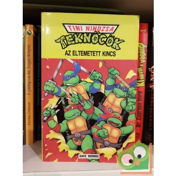 Dave Morris: Tini Nindzsa teknőcök - Az eltemetett kincs