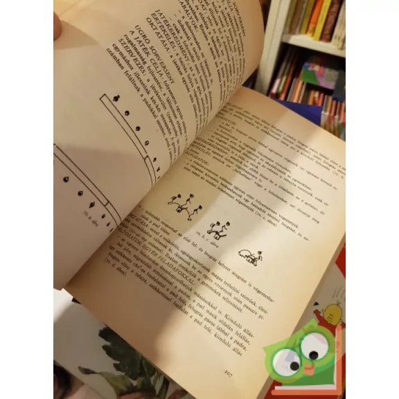 Becsy-Esküdtné: Mozgásos játékminták, játékgyűjtemény (Ritka)