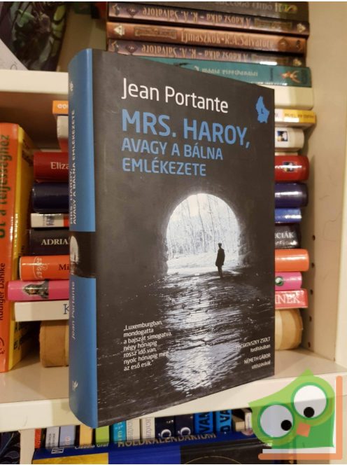Jean Portante: Mrs. Haroy, avagy a bálna emlékezete (Valahol Európában sorozat)