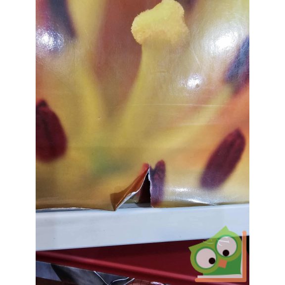 Nagy - Balázs - Szabó - Hajdu: Nagy viráglexikon - Kerti növények A-tól Z-ig