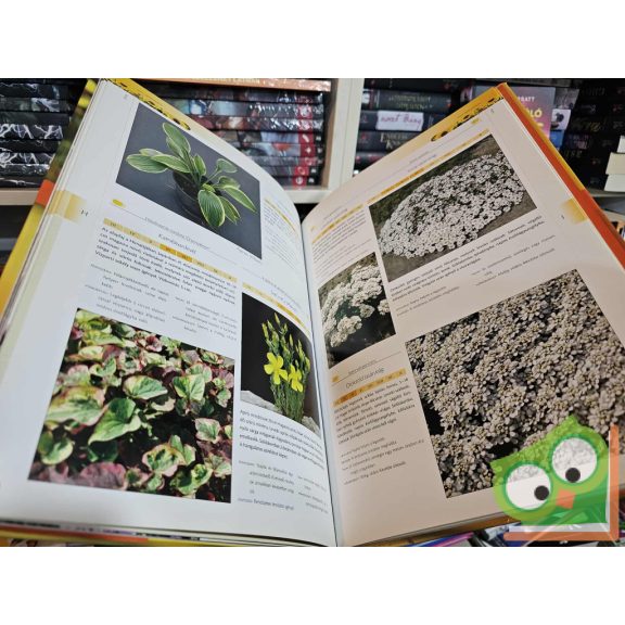 Nagy - Balázs - Szabó - Hajdu: Nagy viráglexikon - Kerti növények A-tól Z-ig