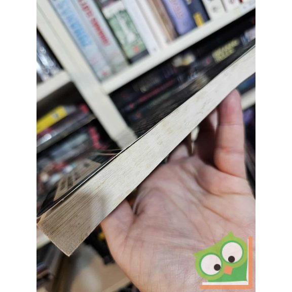 Nemzetközi sakk- és versenyszabályok (MSV Könyvek)