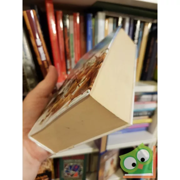 Allen Newman: Vasemberek (Lovagok és királyok trilógia 1-3.)