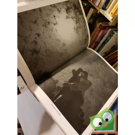 Olasz Ferenc: Passió (Ritka)