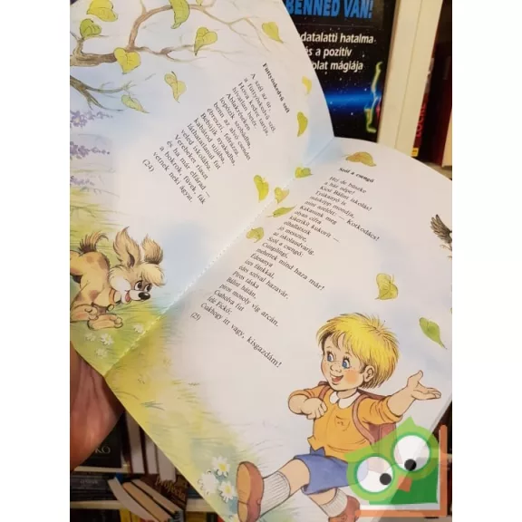 Osvát Erzsébet: Dudoló (Füzesi Zsuzsa rajzaival)