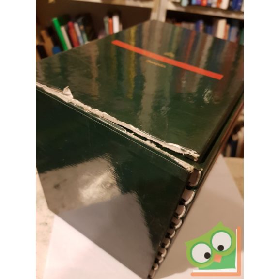 Pannonica: Magyar századok (ritka, 10 kötet)