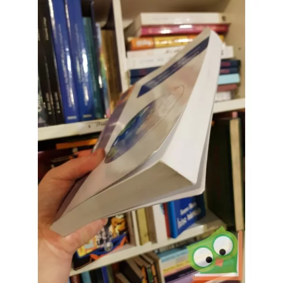 Papp Sándor, Rolf Kümmel: Környezeti kémia