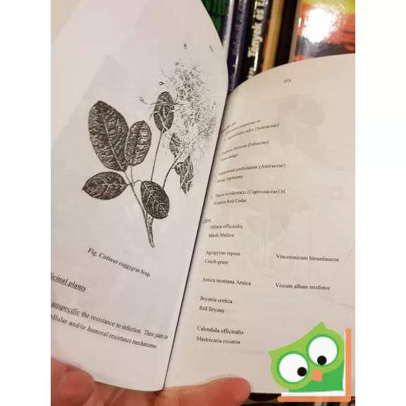 Prof. Dr. Gizella Petri: Phytotherapy in the Medicine