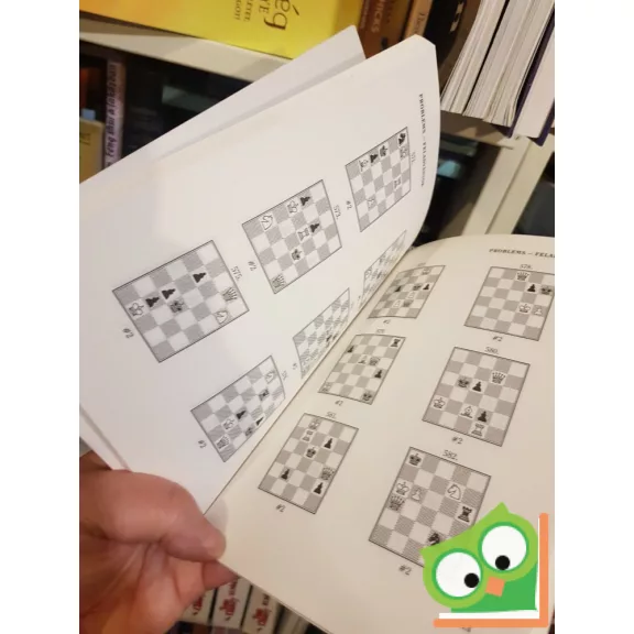 Polgár László: Minisakk / Minichess 