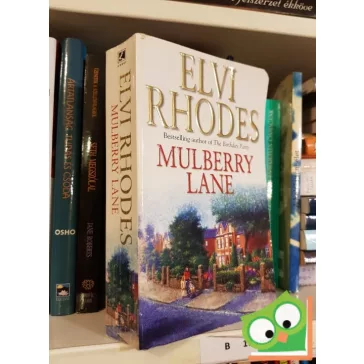 Elvi Rhodes: Mulberry lane