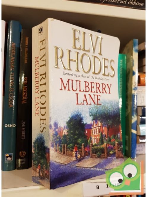 Elvi Rhodes: Mulberry lane