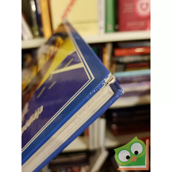 Ron Smith: Kosárlabda (Az NBA képes enciklopédiája)