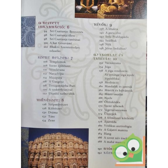 Steven J. Rosen: India rejtett kincse