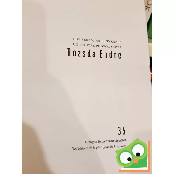 Rozsda Endre: Egy festő, ha fényképez : Un peintre photohraphe (Ritka)