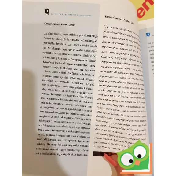 Rozsda Endre: Egy festő, ha fényképez : Un peintre photohraphe (Ritka)