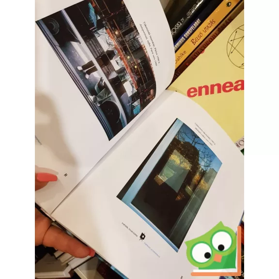 Rozsda Endre: Egy festő, ha fényképez : Un peintre photohraphe (Ritka)