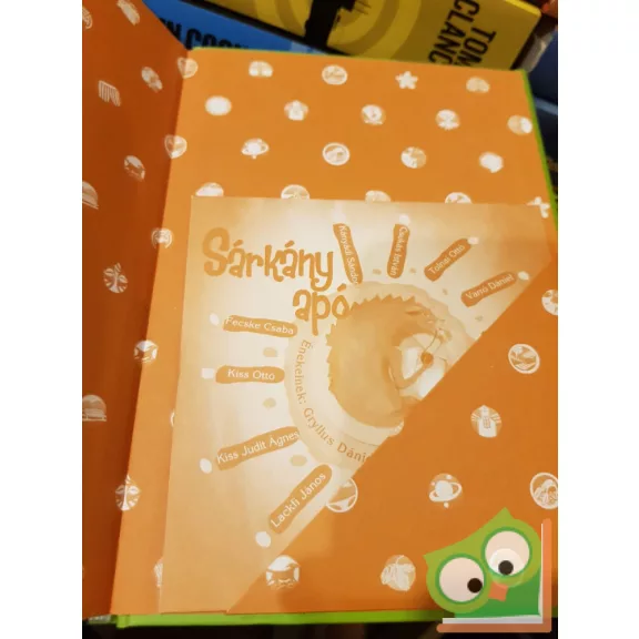 Szalóki Ági, Gryllus Dániel: Sárkány apó - Verseskötet és CD gyerekeknek