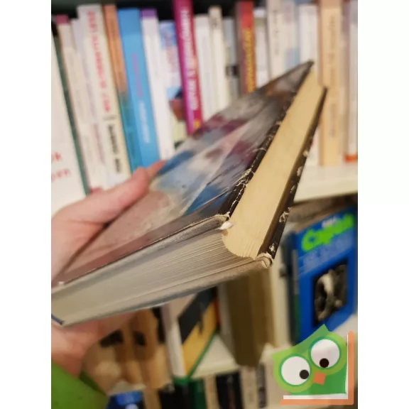 Scheiber Sándor: Magyarországi zsidó feliratok - A III. századtól 1686-ig