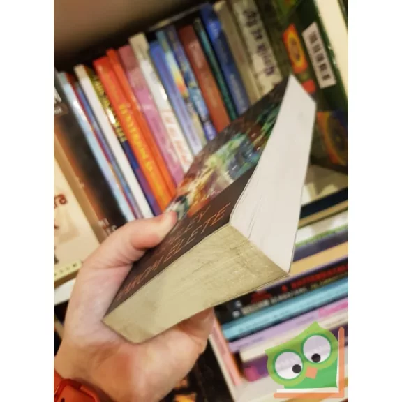 Sidney Sheldon: Ashley három élete