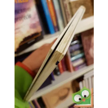 Florence Scovel Shinn: A karmának nincs humorérzéke