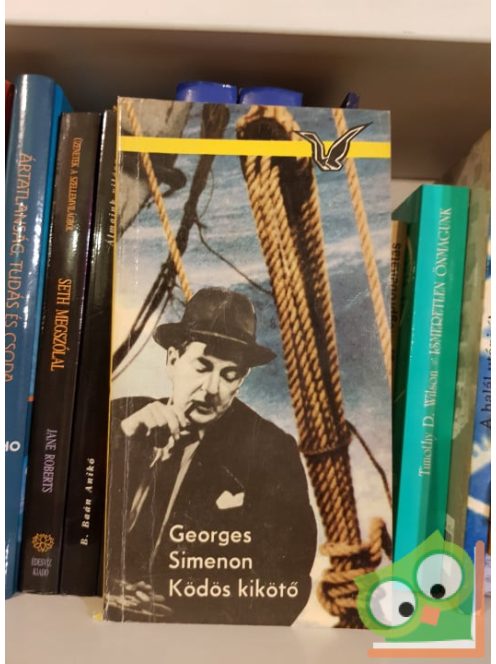Georges Simenon: Ködös kikötő