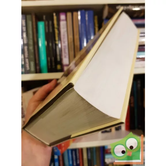 Sólyom Ildikó: Összetört - szétszakadt - elillant... - A Sólyom tábornok-per utóélete