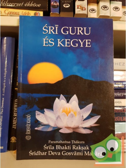Swami B. R. Sridhara: Sri guru és kegye