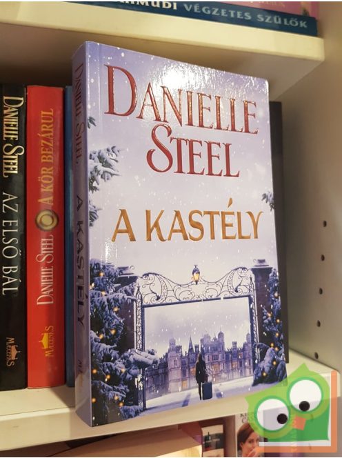Danielle Steel: A Kastély (Ritka)