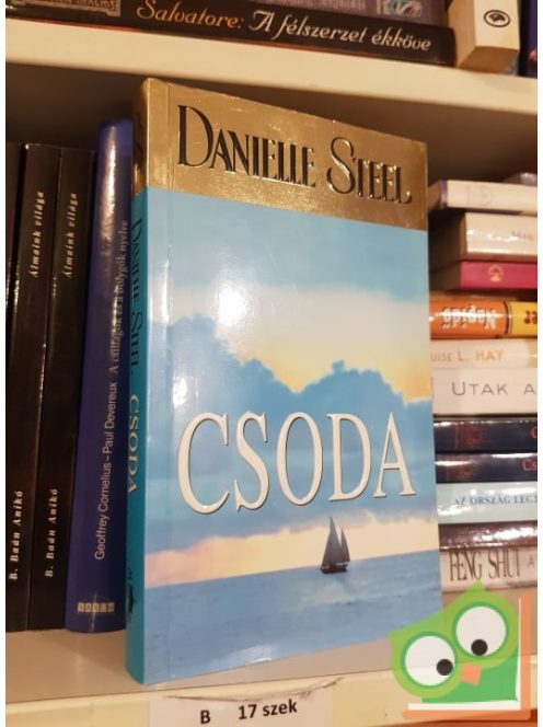 Danielle Steel: Csoda
