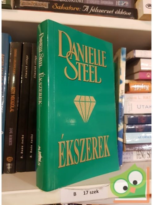 Danielle Steel: Ékszerek
