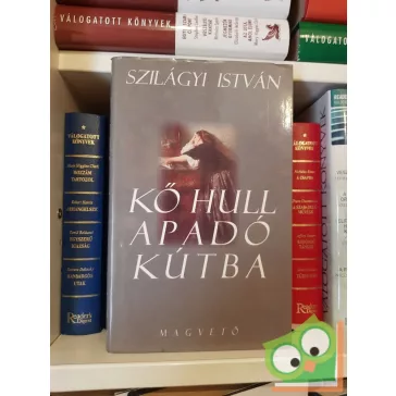 Szilágyi István: Kő hull apadó kútba