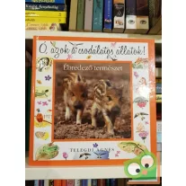   Telegdi Ágnes:  Ó, azok a csodálatos állatok - Ébredező természet