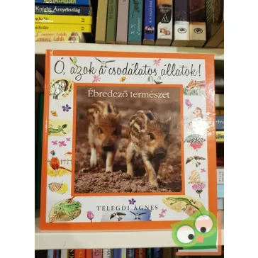   Telegdi Ágnes:  Ó, azok a csodálatos állatok - Ébredező természet