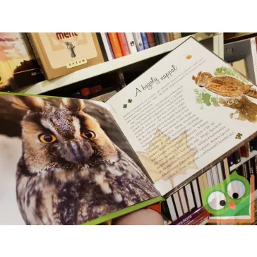   Telegdi Ágnes:  Ó, azok a csodálatos állatok - Madarak éneke