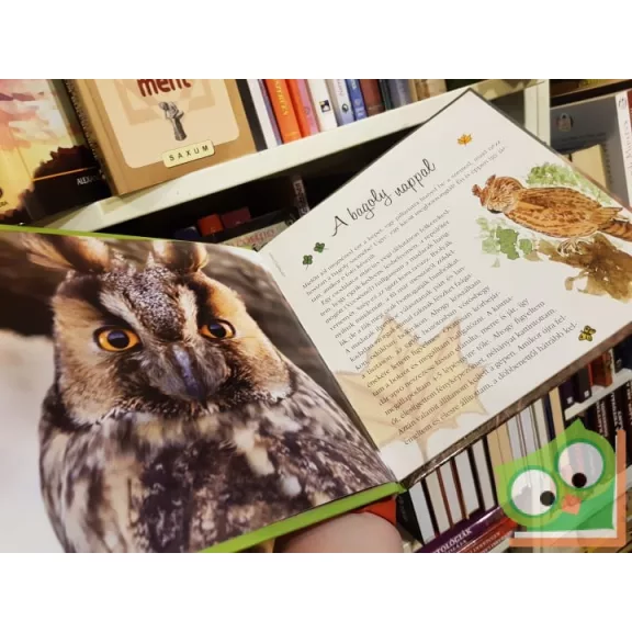 Telegdi Ágnes:  Ó, azok a csodálatos állatok - Madarak éneke